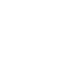 Javascript Demos